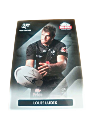 Louis Ludik (228)