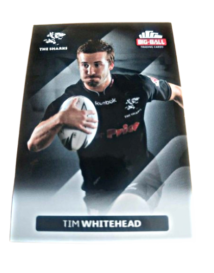 Tim Whitehead (246)