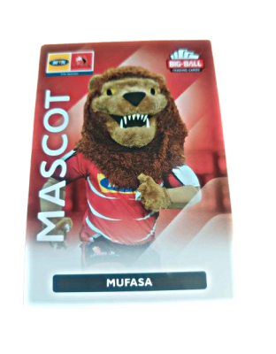 Mufasa (103)