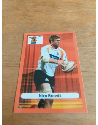 (CH20) Nico Breedt