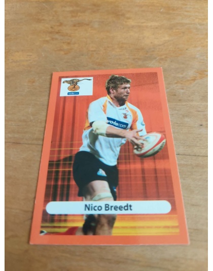 (CH20) Nico Breedt