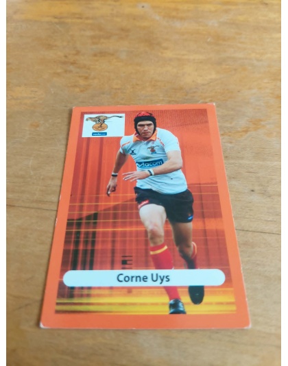 (CH03) Corne Uys
