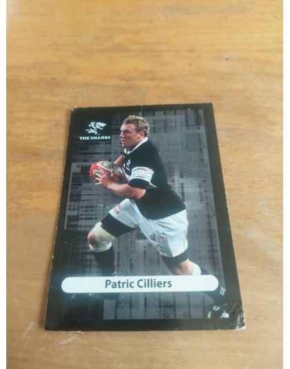 (TS21) Patric Cilliers