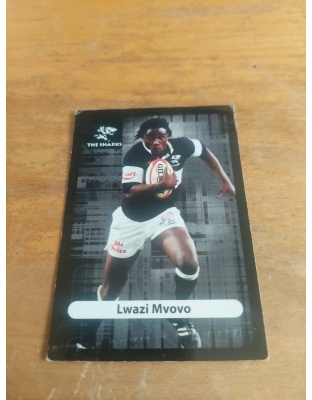 (TS16) Lwazi Mvovo