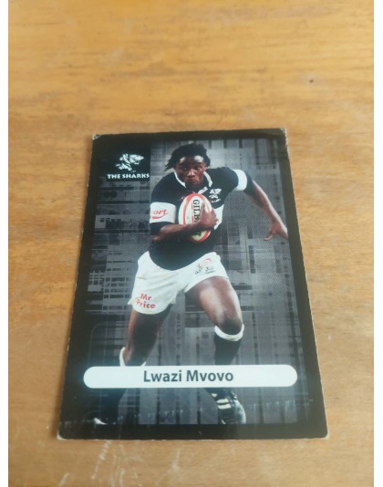 (TS16) Lwazi Mvovo