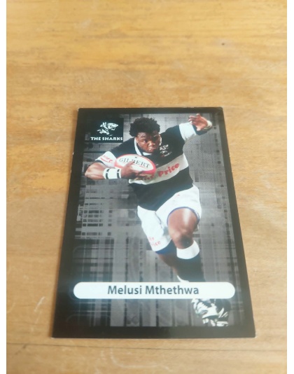 (TS17) Melusi Mthethwa
