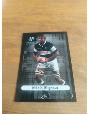 (TS19) Nikolai Blignaut