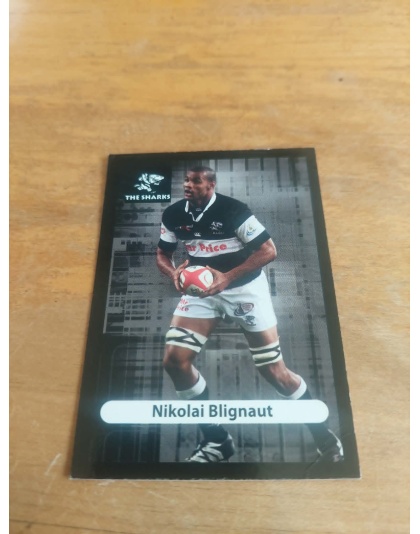 (TS19) Nikolai Blignaut