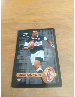 (TS20) Odwa Ndungane  - 1 Star