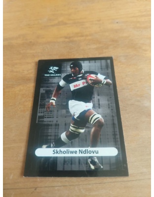 (TS26) Skholiwe Ndlovu