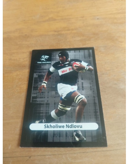 (TS26) Skholiwe Ndlovu