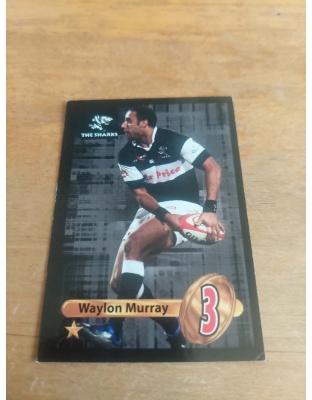 (TS30) Waylon Murray