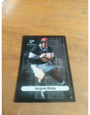 (TS10) Jacques Botes