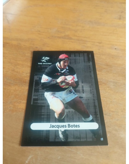 (TS10) Jacques Botes