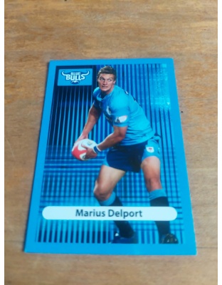 (BB16) Marius Delport