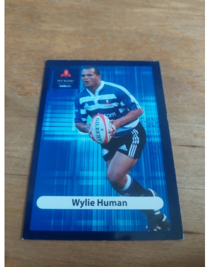 (WP32) Wylie Human