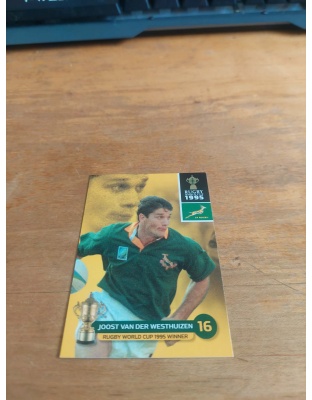 (195) Joost van der Westhuizen