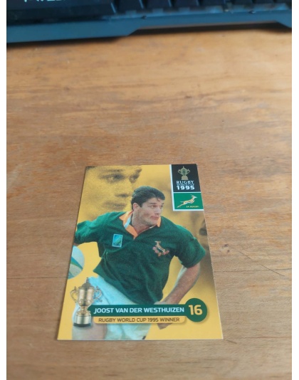 (195) Joost van der Westhuizen