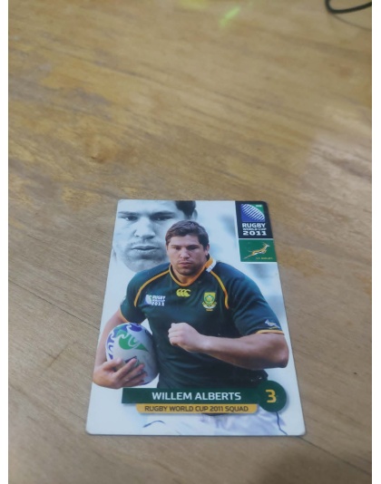 (100) Willem Alberts