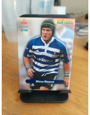 (WP38) Wicus Blaauw
