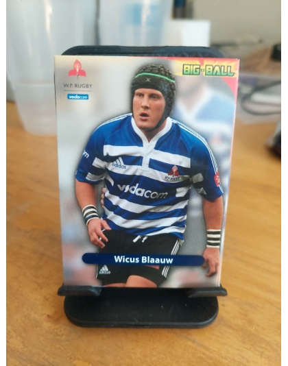 (WP38) Wicus Blaauw