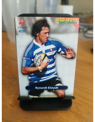(WP33) Rynardt Elstadt