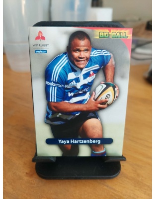 (WP40) Yaya Hartzenberg