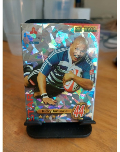 (WP32) Ricky Januarie (Star Card)