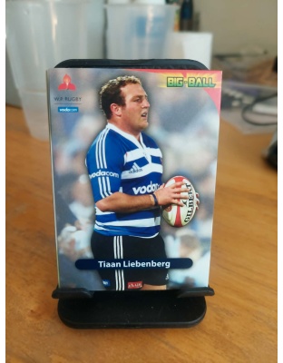 (WP35) Tiaan Liebenberg
