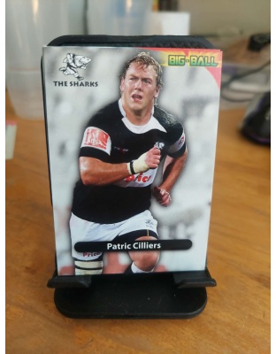 (TS21) Patric Cilliers