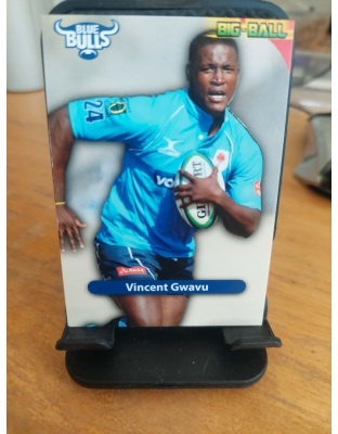 (BB34) Vincent Gwavu