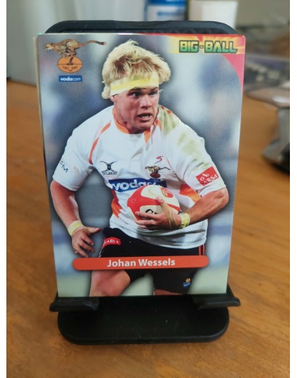 (CH17) Johan Wessels