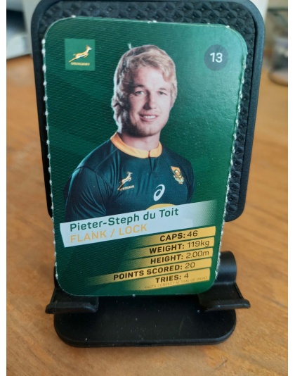 (13) Pieter-Steph Du Toit