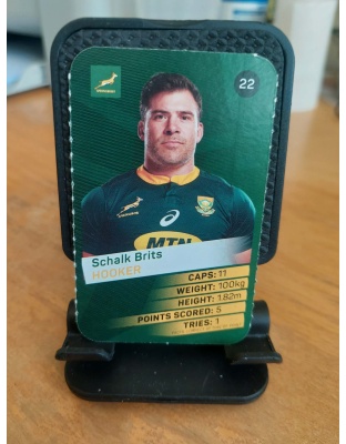 (22) Schalk Brits