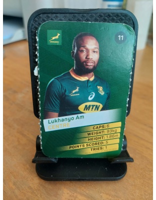 (11) Lukhanyo Am
