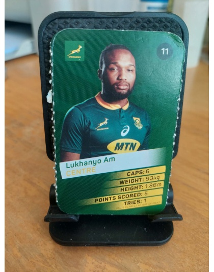 (11) Lukhanyo Am