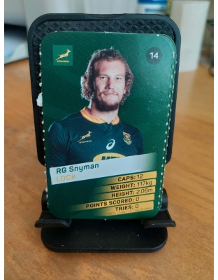 (14) RG Snyman