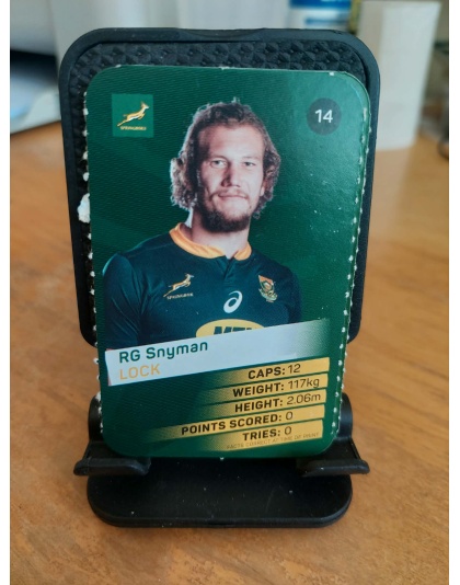 (14) RG Snyman