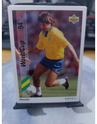 (035) Renato (Brazil)