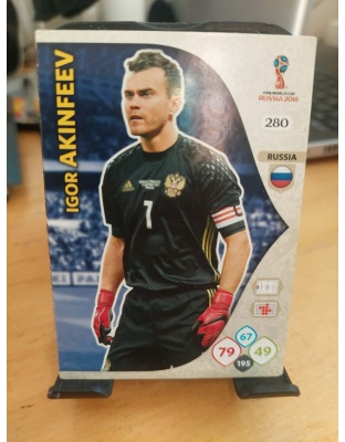 (280) Igor Akinfeev (Russia)