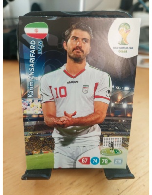 (206) Karim Ansarifard (Iran)
